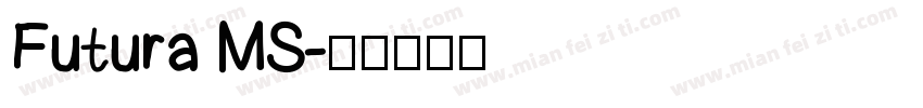 Futura MS字体转换